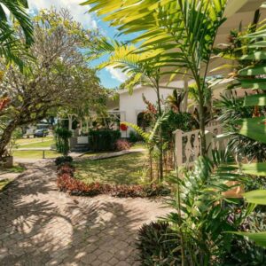 Garden path lined with palms and tropical plants leading to a white bungalow at Beau Vallon Bungalows