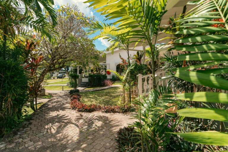 Garden path lined with palms and tropical plants leading to a white bungalow at Beau Vallon Bungalows