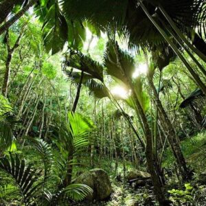 Supplier photograph: Discover Praslin Island Tour (4 Hours)