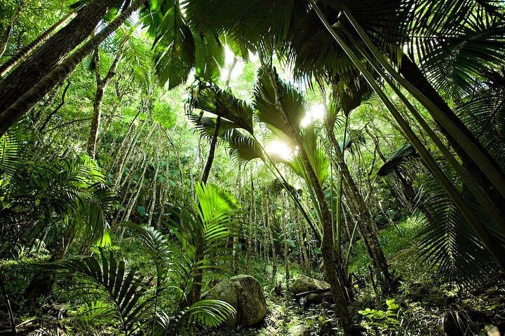 Supplier photograph: Discover Praslin Island Tour (4 Hours)
