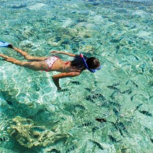 Supplier photograph: Full Day Glass-bottom Boat Excursion Inc Lunch