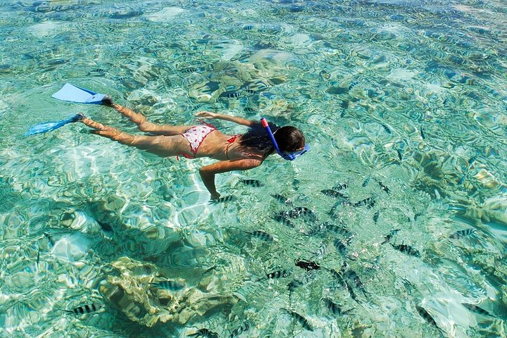 Supplier photograph: Full Day Glass-bottom Boat Excursion Inc Lunch