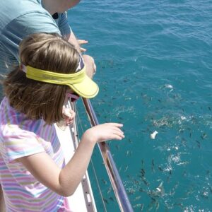 Supplier photograph: Full Day Reef Safari at Ste Anne Marine National Park