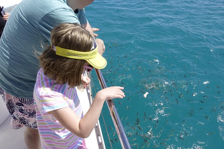 Supplier photograph: Full Day Reef Safari at Ste Anne Marine National Park