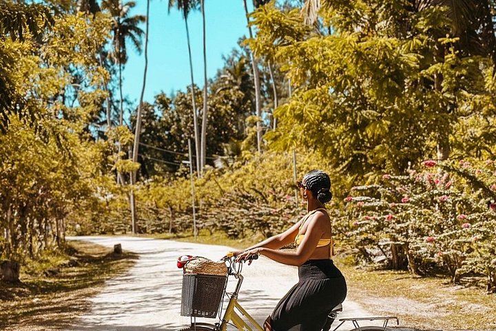 Supplier photograph: La Digue Boat and Bike Paradise Escape