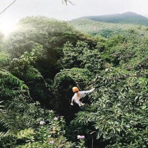 Supplier photograph: Mahé Island: Zip Lining and Marine Park Snorkeling Excursion