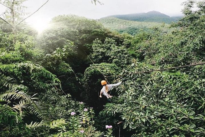 Supplier photograph: Mahé Island: Zip Lining and Marine Park Snorkeling Excursion