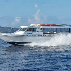 Supplier photograph: Praslin-La Digue Day Trip from Mahé Island
