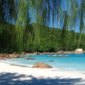 Supplier photograph: Private Beaches, Swimming & Snorkeling on Mahé