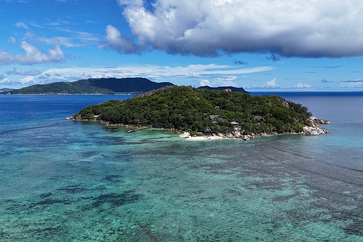 Supplier photograph: Private Full-Day Reef Safari in Ste Anne Marine Park
