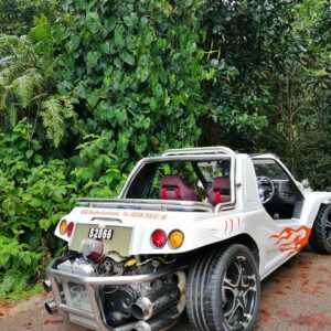 Supplier photograph: Private Island Tour by Buggy or SUV
