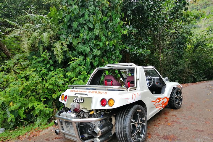 Supplier photograph: Private Island Tour by Buggy or SUV
