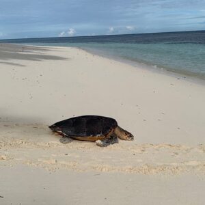 Supplier photograph: Private Seychelles Island Tour (4 or 8 Hours)