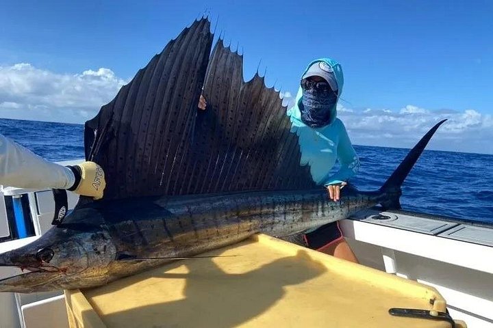Supplier photograph: Seychelles Fishing