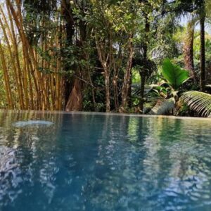A Peace In Paradise, Seychelles: property photograph