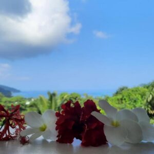 Cella Villa, Seychelles: property photograph