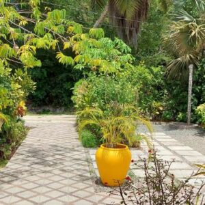 Chez Mera Self Catering, Seychelles: property photograph
