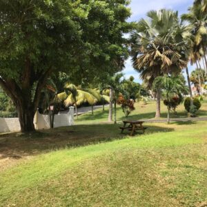 Michel Holiday Apartments, Seychelles: property photograph