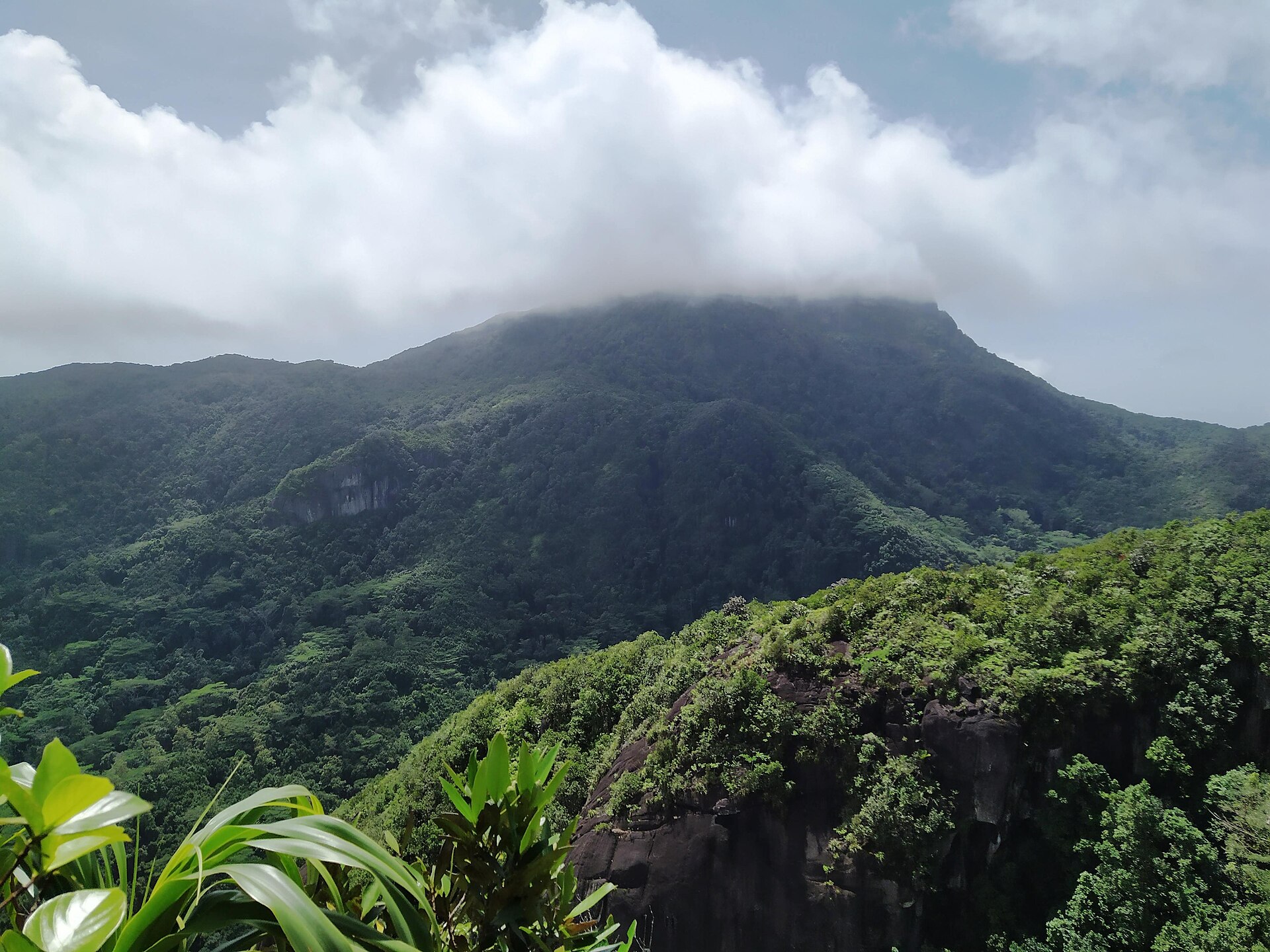 Forested mountains of Morne Seychellois National Park on Mahé