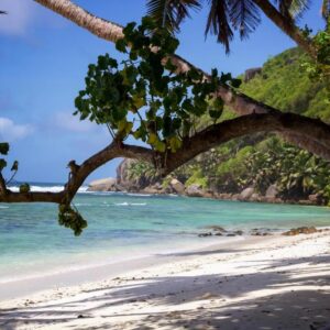 Surfers Beach Self Catering Chalets, Seychelles: property photograph