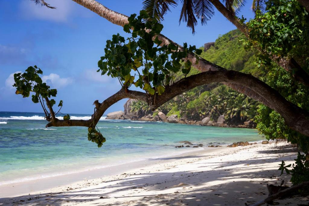 Surfers Beach Self Catering Chalets, Seychelles: property photograph